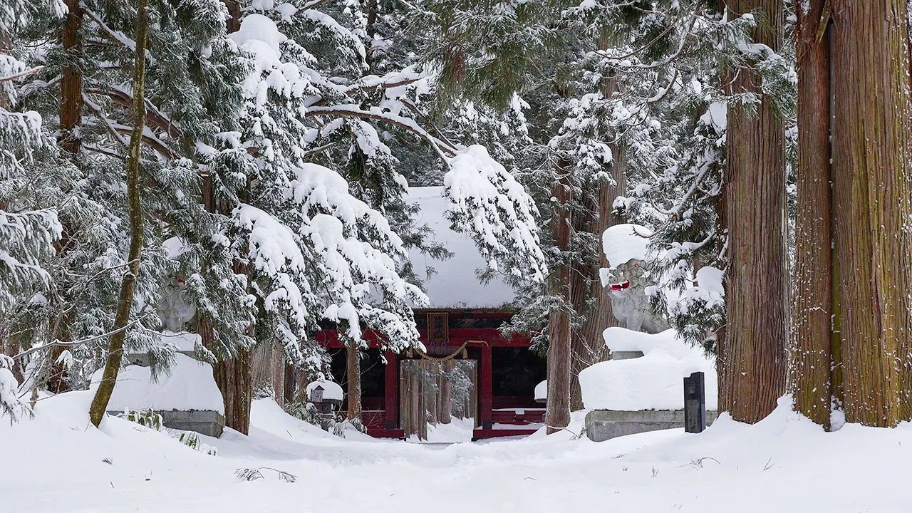 ⛩️ 센바 도쇼구 이미지 6